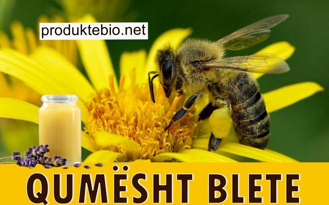 Qumështi i Bletës Produkte Bio, qumesht blete