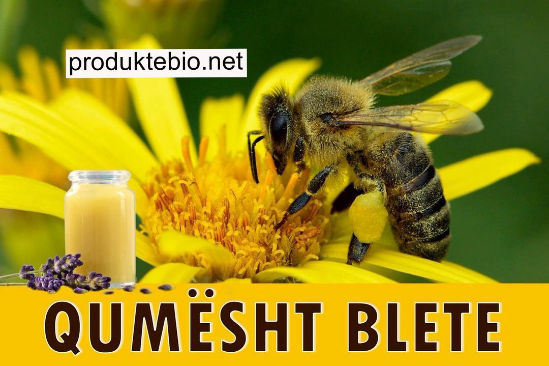 qumesht blete